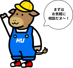 ヌーたん